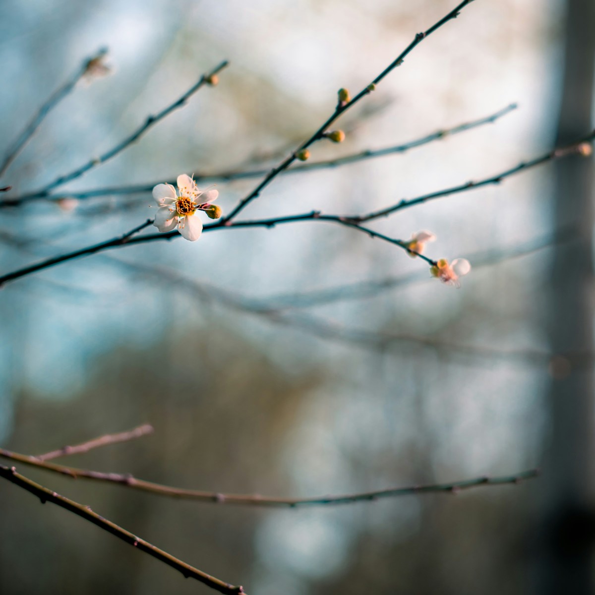 Holy Saturday: A Quiet&nbsp;Transformation